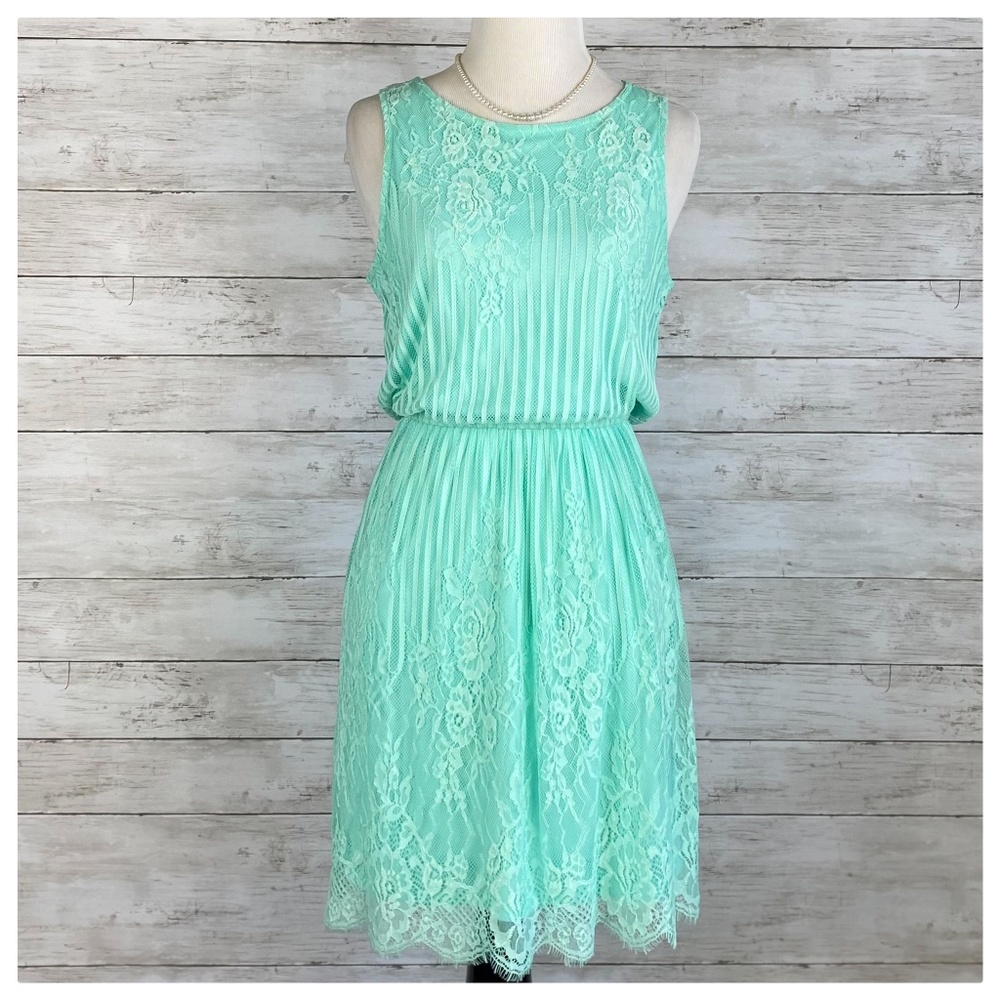 Little Cottagecore Spring Lace Dress